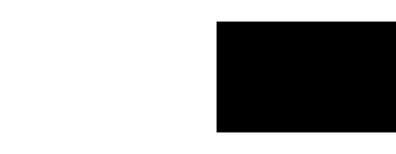 black-box